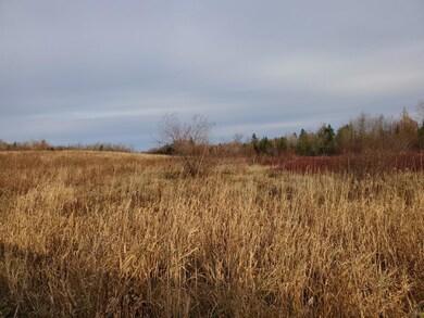 20201030_155319