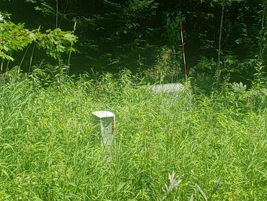 Lot 3 Sanctuary Rd, Tomahawk, WI 54487 - photo 5