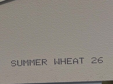 627 Clary St, Thomson, GA 30824 - photo 5