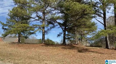 Lot 25 County Road 70, Thorsby, AL 35171 - photo 6