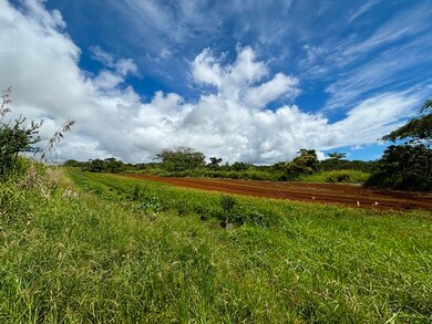 0 Puueo Mauka Dr, Hilo, HI 96720 - photo 7