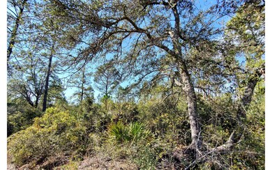 0 County Line Rd unit 121590, Lee, FL 32059 - photo 4