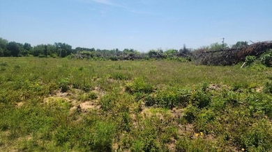 View of nature