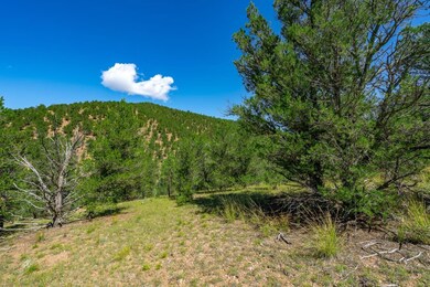 Lot 9 Sundance Rd, Cotopaxi, CO 81223 - photo 7