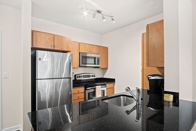 3 Repton Cir unit 3107, Watertown, MA 02472 - photo 6