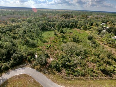 39603 NW 19th Ave, Okeechobee, FL 34972 - photo 4