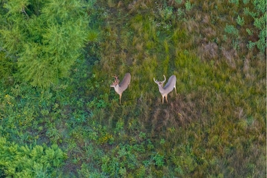 430 N River Park Rd, Burrton, KS 67020 - photo 4