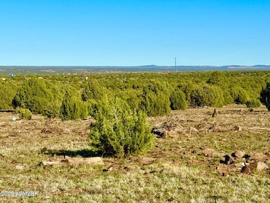 TBD Mustang Ln Lots F & H 5 Acre --, Show Low, AZ 85901 - photo 6