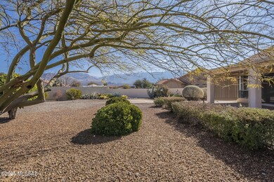 Spacious back yard