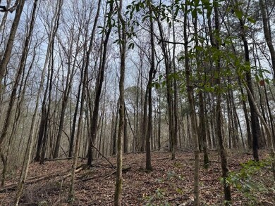 920b Auburn Dr SW, Bogue Chitto, MS 39629 - photo 5