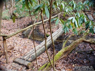 Hiking Trails