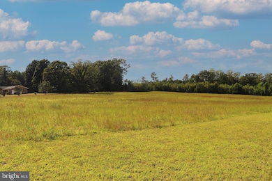 0 Mineral Springs Rd unit PARCEL 36735, Boydton, VA 23917 - photo 5