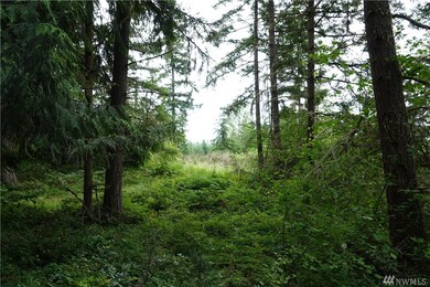 2217 384th St E, Roy, WA 98580 - photo 5