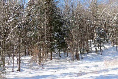 00 Chapman Rd, Ludlow, VT 05149 - photo 4
