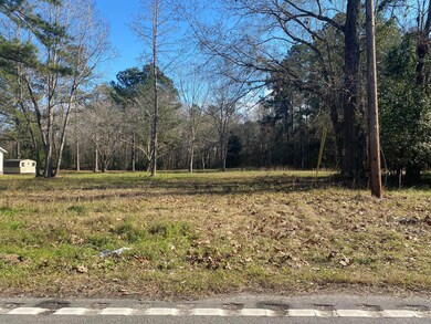 LAND PHOTO