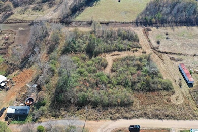 0 Justin Ln, Lincoln, AL 35096 - photo 4