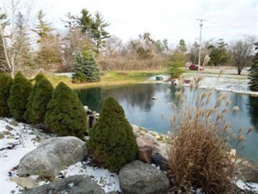 Pond View