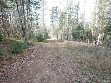 TBD Asumaa Rd, Atlantic Mine, MI 49905 - photo 6