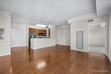 50 S Grove Ave unit 301, Elgin, IL 60120 - photo 2