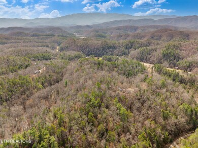 mossy cove way lot-3