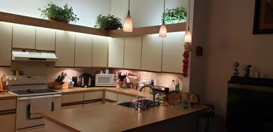 Large Kitchen