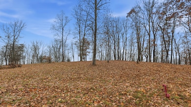 361 Volunteer St, Jasper, TN 37374 - photo 5