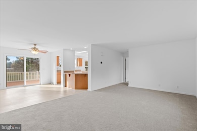 12454 Mirey Branch Rd, Laurel, DE 19956 - photo 5