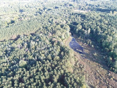 DJI_0081