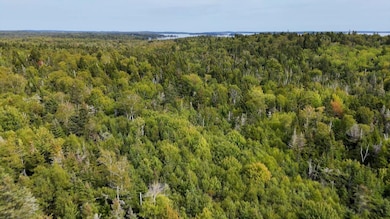 19-Timeline 1_01_00_42_05