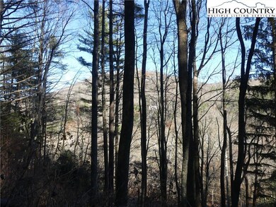 6628 Nc Highway 105 S, Boone, NC 28607 - photo 2