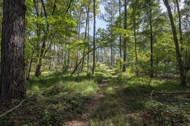 00 Oak Grove Church Rd, Asheboro, NC 27205 - photo 4