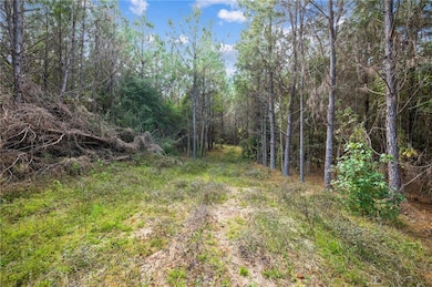 0 Highway 62 None, Franklinton, LA 70438 - photo 3