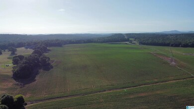 345 Conchardee Ln, Lincoln, AL 35096 - photo 5