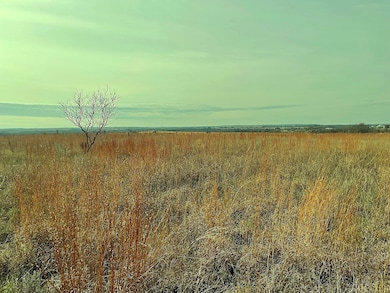 2245 County Road 619, Pottsville, TX 76565 - photo 4