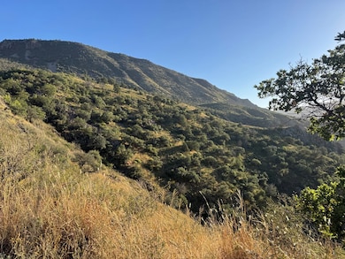 TBD Tbd, Fort Davis, TX 79734 - photo 5