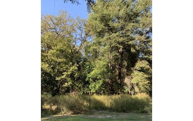 12 SE Earl Blvd Lot 73-75, Branford, FL 32008 - photo 2