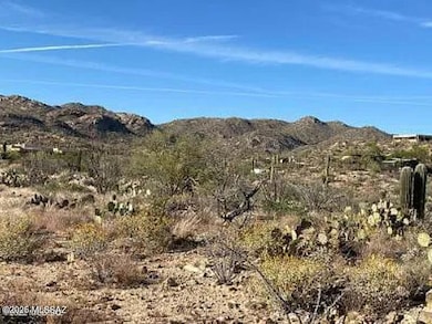 0 N Gibson Trail unit 22529856, Tucson, AZ 85755 - photo 5