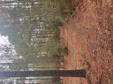 1949 Deerwood Place, Macon, GA 31211 - photo 5