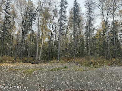 L4 S Lupine Cir, Talkeetna, AK 99676 - photo 5
