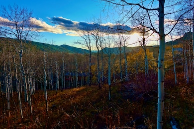 Mountain view featuring a heavily wooded area