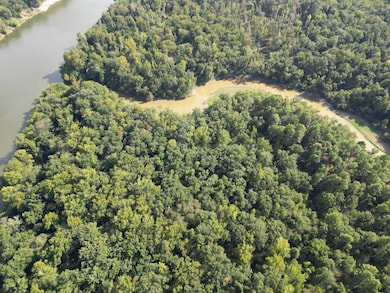 TBD Wyant Rd, Columbia, LA 71418 - photo 5