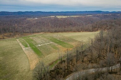 15 Ac. Rocky Point Rd, Cookeville, TN 38506 - photo 4