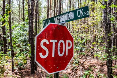 0 Brush Creek Rd unit 40, Hohenwald, TN 38462 - photo 3