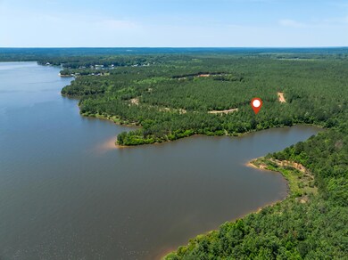 Lot #82 Red Wiggler Way, Lumberton, MS 39455 - photo 5