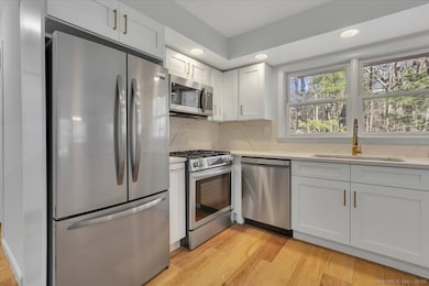 10 Victorian Woods Ln unit 10, South Windsor, CT 06074 - photo 3