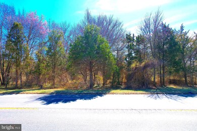 0 Bdgtn Millville unit NJCB2023378, Bridgeton, NJ 08302 - photo 3