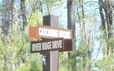 LT 36 Cascading Brook Ln, Blue Ridge, GA 30513 - photo 4