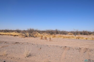 0 Alamosa Rd Se Lot 5 unit 20251179, Deming, NM 88030 - photo 4