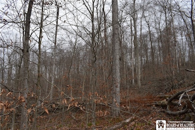 0 Morgan Hollow Rd, Olean, NY 14760 - photo 3