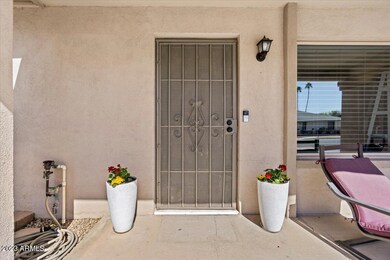 1804 W Nido Ave, Mesa, AZ 85202 - photo 4